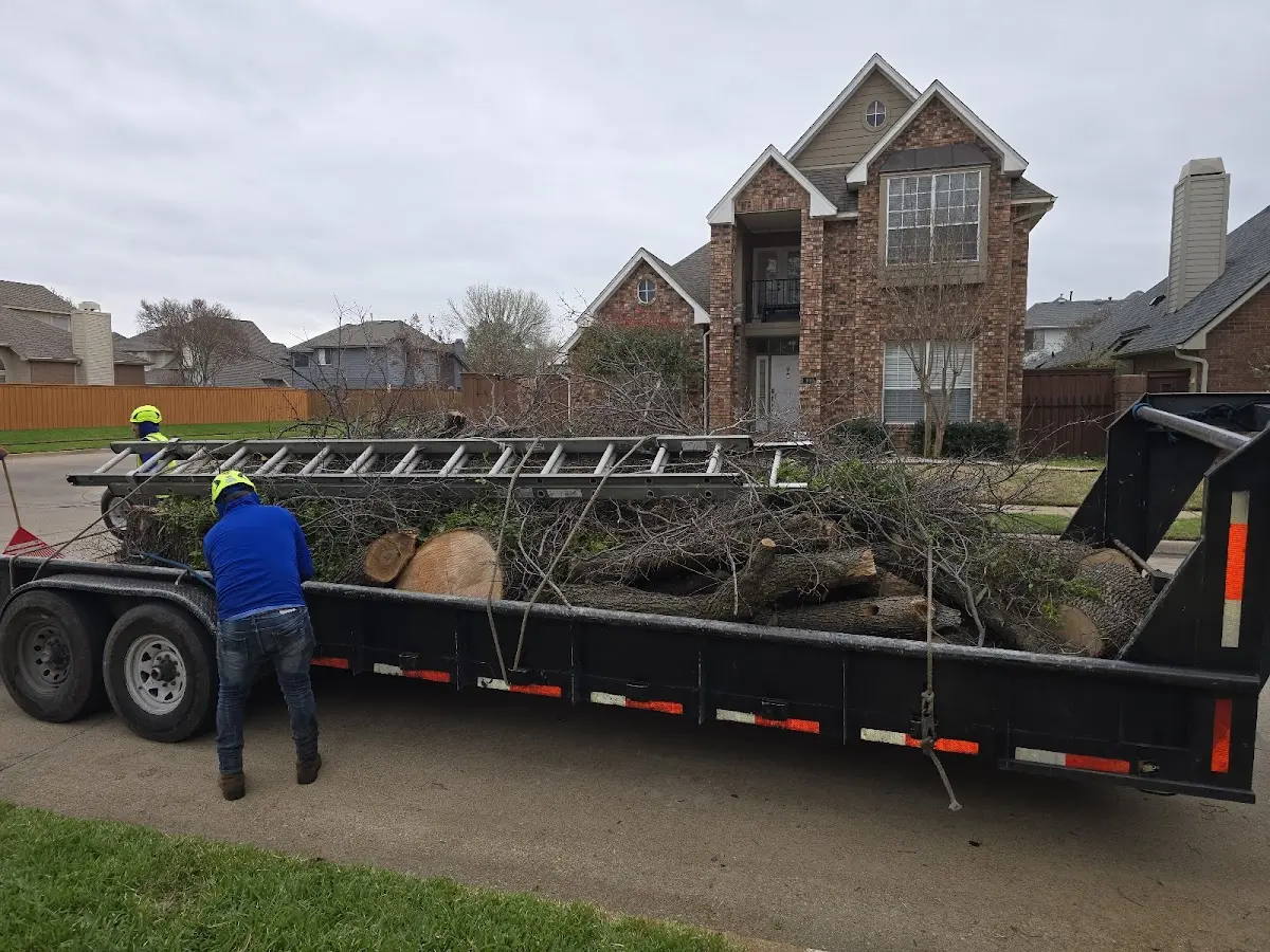 Expert Tree Fertilization with proper safety equipment in Rudyard